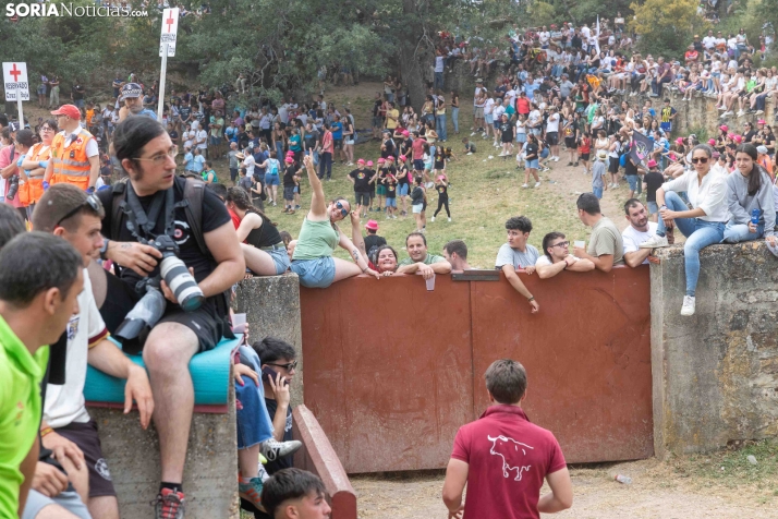 La Compra 2026./ Viksar Fotografía