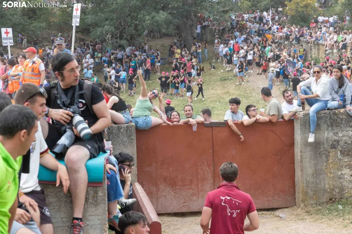 La Compra 2026./ Viksar Fotografía
