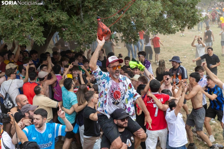 La Compra 2026./ Viksar Fotografía