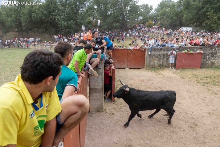 La Compra 2026./ Viksar Fotografía