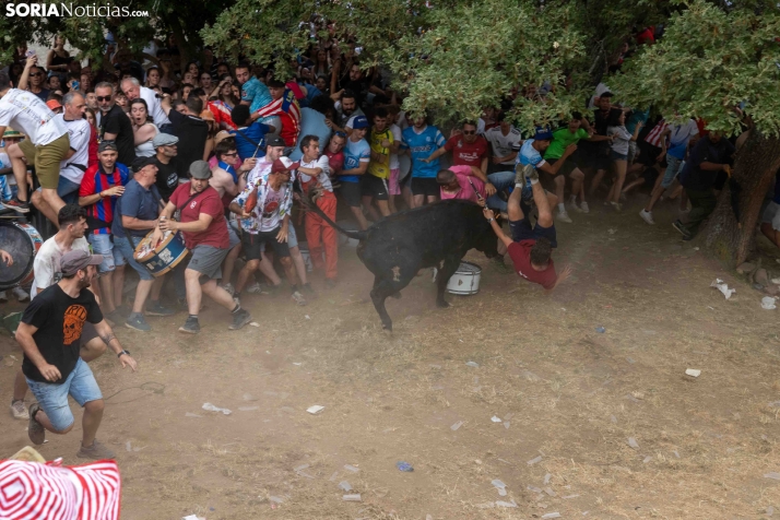 La Compra 2026./ Viksar Fotografía