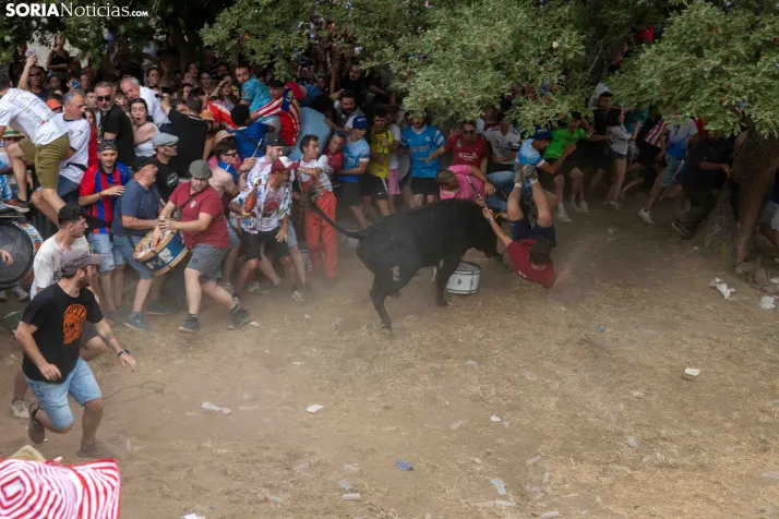 La Compra 2026./ Viksar Fotografía