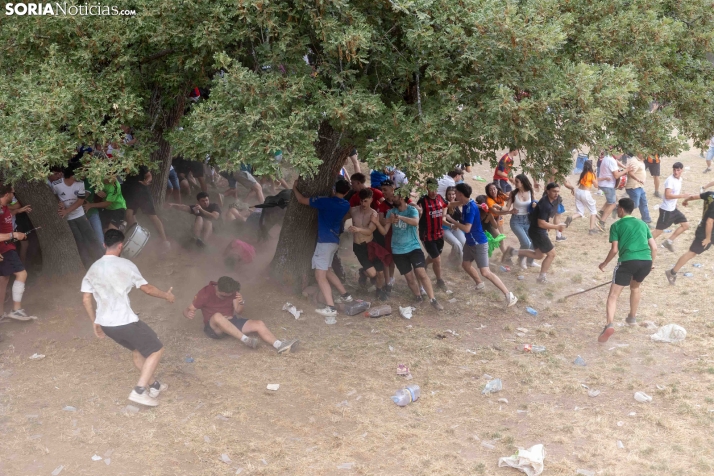 La Compra 2026./ Viksar Fotografía