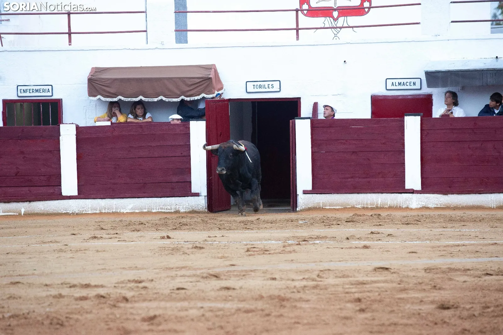 Novillada del VII Circuito de Castilla y León en Almazán