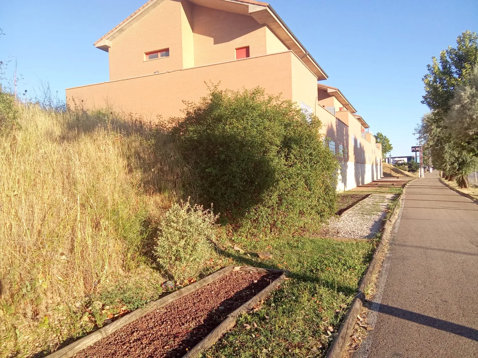 Foto 2 - Piden acabar con el abandono de parcelas junto a las viviendas
