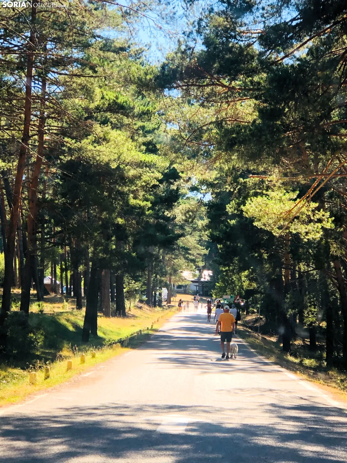 Tres personas fallecen por exceso de calor en el último mes en Soria