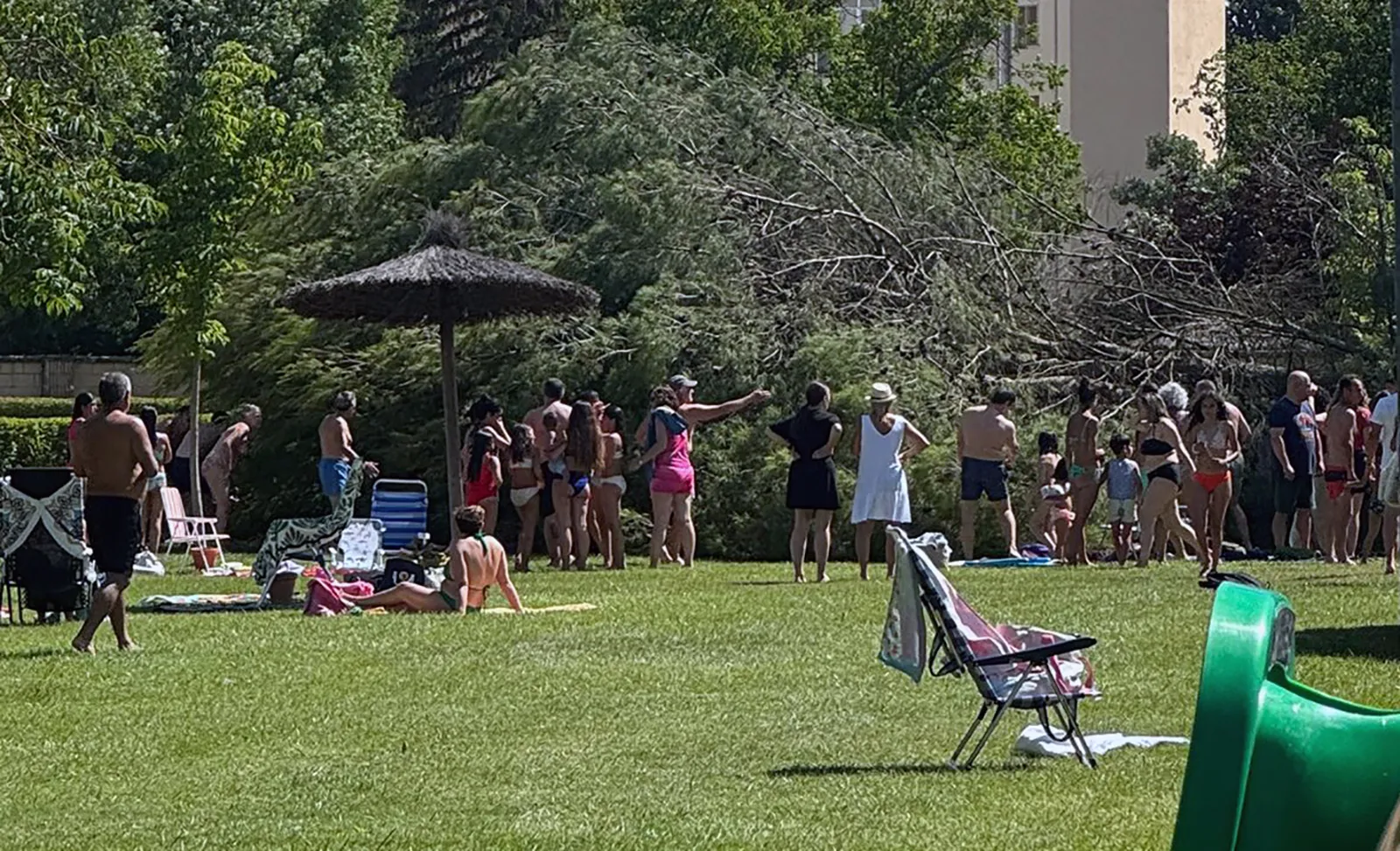 Foto 2 - Susto en Almaz&aacute;n por la ca&iacute;da de un pino en las piscinas municipales