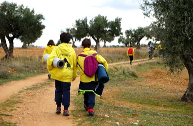 Un grupo scout de Madrid trabaja desde hoy en la rehabilitación patrimonial de Sarnago