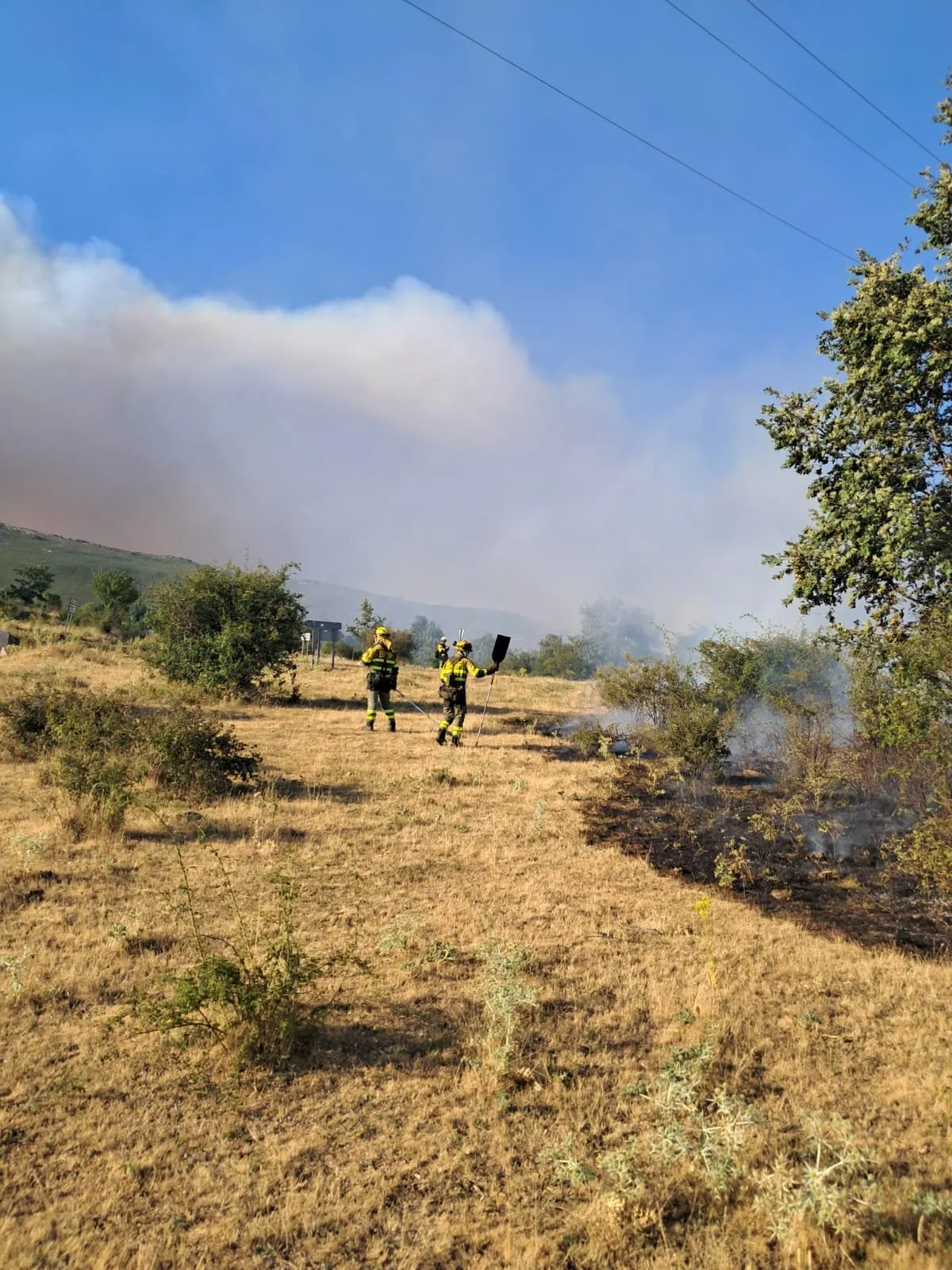 Imágenes de los trabajos desarrollados desde primeras horas de esta pasada noche por la BRIF de Lubia en Guadalajara. | @briflubia