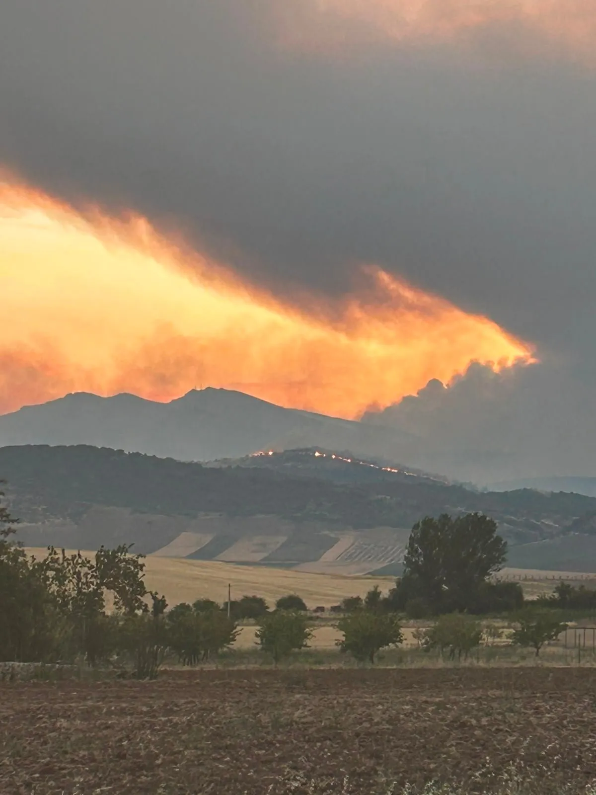 La BRIF de Lubia trabaja durante toda la noche en el incendio de Guadalajara con contrafuegos y ataque directo