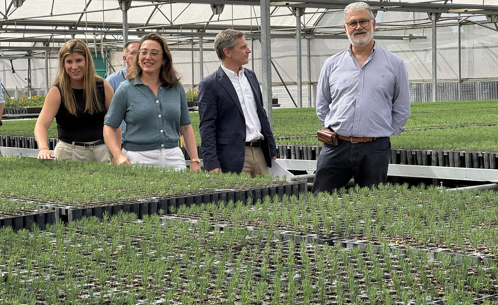 La Junta destina 2,5 millones de euros a impulsar plantaciones forestales de alto valor en Castilla y León
