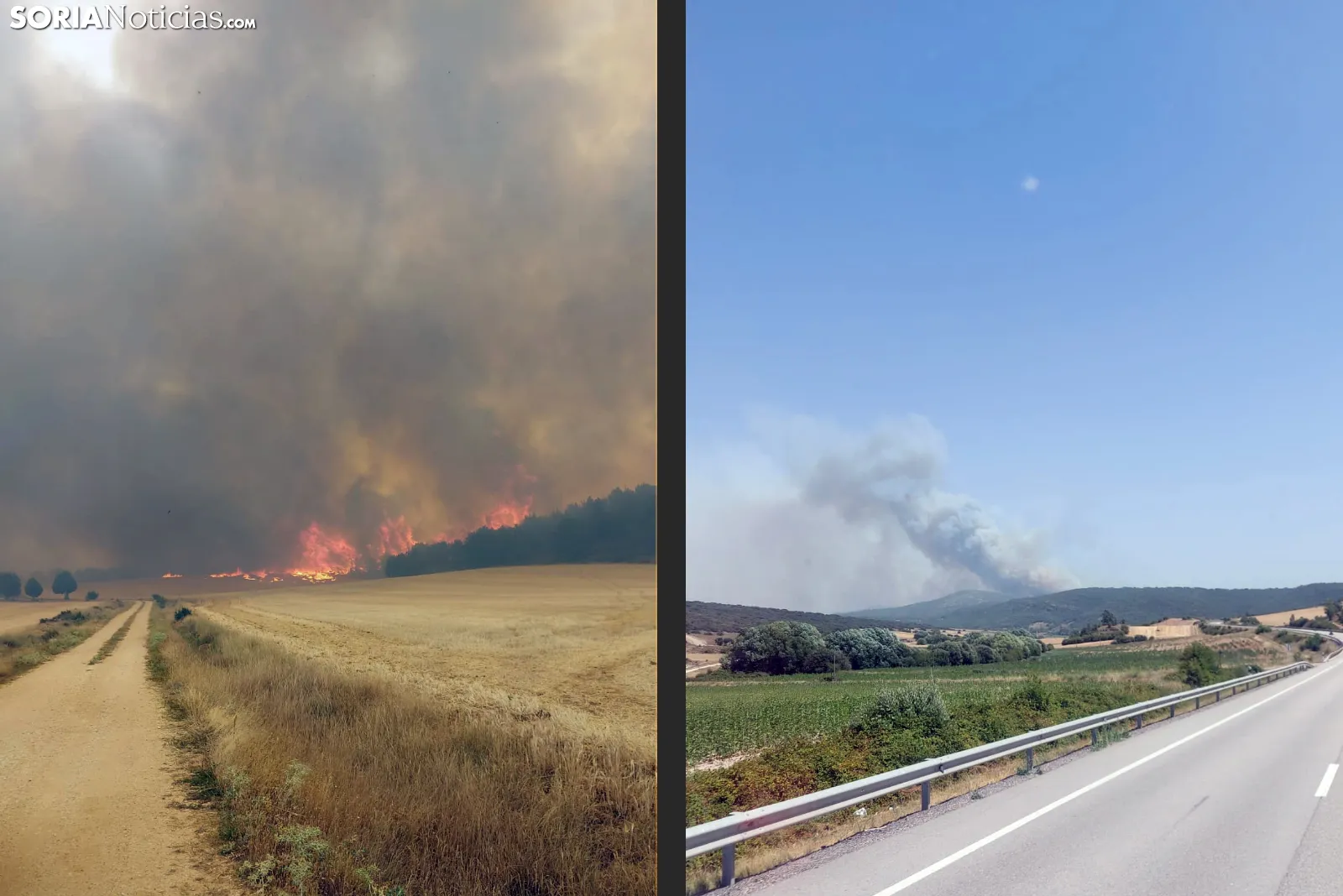 Bomberos de Almazán vuelven a Guadalajara para intervenir en el incendio de Selas 