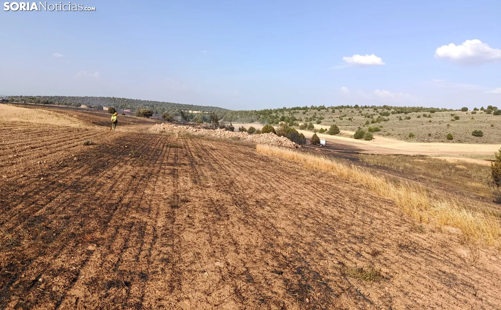Controlados los incendios forestales declarados esta tarde