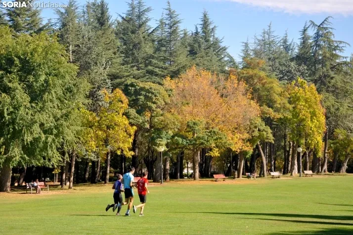 Soria roza los 34 grados este viernes con cielos despejados