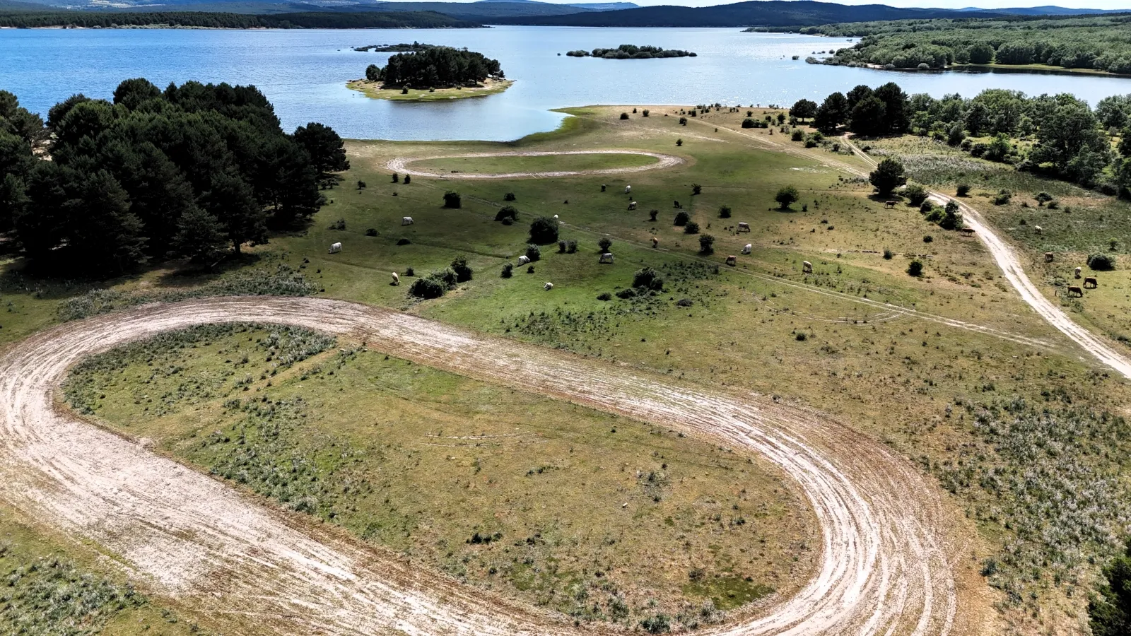 Foto 2 - Los ecologistas aseguran que el Motorbeach ha producido graves y severos da&ntilde;os al medioambiente