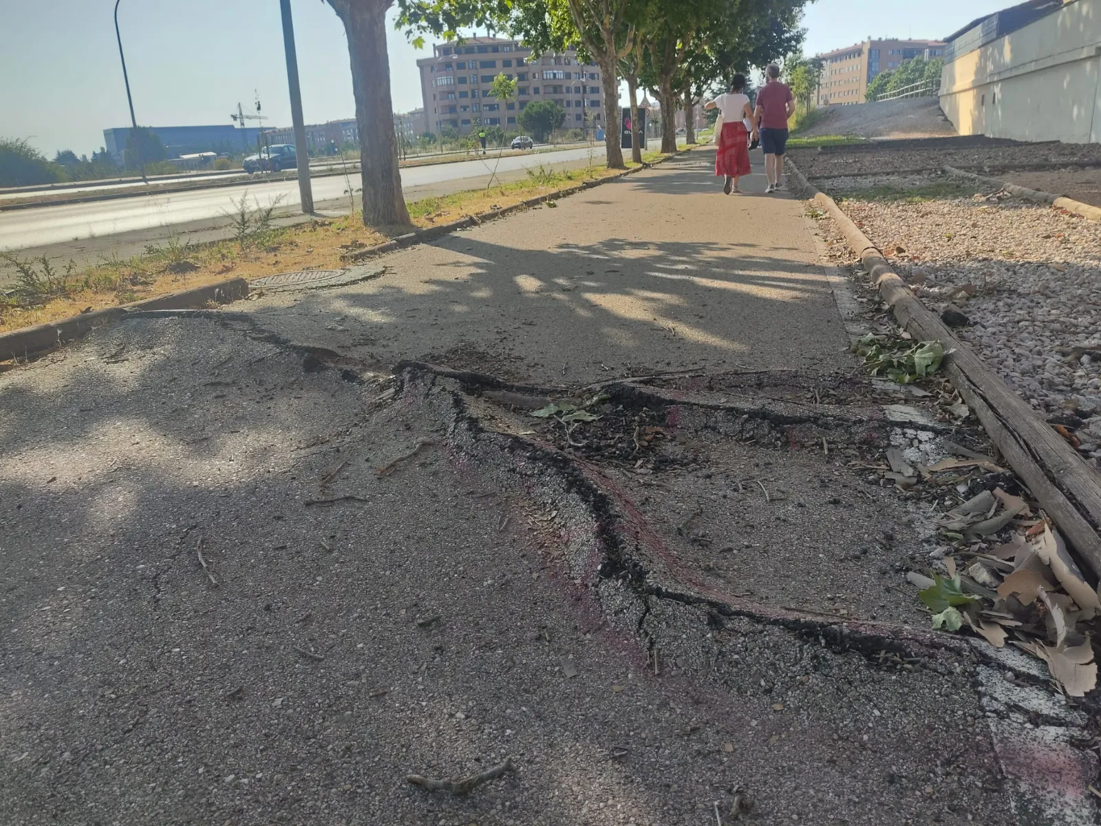 Foto 2 - Un ciclista alerta del riesgo de accidente por el grave deterioro del carril bici en el pol&iacute;gono