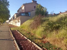 Foto 3 - Piden acabar con el abandono de parcelas junto a las viviendas