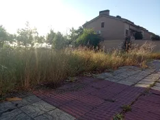 Foto 4 - Piden acabar con el abandono de parcelas junto a las viviendas