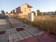 Foto 5 - Piden acabar con el abandono de parcelas junto a las viviendas