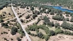 Foto 13 - Los ecologistas aseguran que el Motorbeach ha producido graves y severos da&ntilde;os al medioambiente