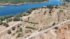 Foto 14 - Los ecologistas aseguran que el Motorbeach ha producido graves y severos da&ntilde;os al medioambiente