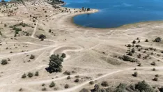 Foto 16 - Los ecologistas aseguran que el Motorbeach ha producido graves y severos da&ntilde;os al medioambiente