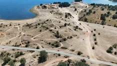 Foto 20 - Los ecologistas aseguran que el Motorbeach ha producido graves y severos da&ntilde;os al medioambiente
