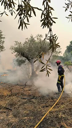 Foto 3 - Los bomberos de Soria detectan y frenan un fuego junto al cementerio de Piedralaves (&Aacute;vila)