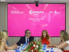 Una imagen de la jornada en la Cámara. /PC