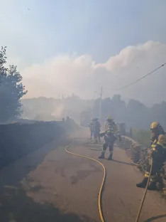 Imágenes de los trabajos desarrollados desde primeras horas de esta pasada noche por la BRIF de Lubia en Guadalajara. | @briflubia