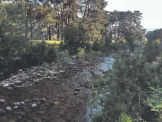 Foto 3 - Ruta: Puentes del Duero de Covaleda