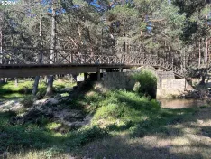 Foto 8 - Ruta: Puentes del Duero de Covaleda