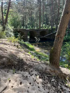 Foto 17 - Ruta: Puentes del Duero de Covaleda