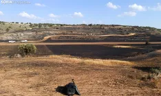 Una imagen del incendio en la zona de Carrascosa de Abajo. /SN