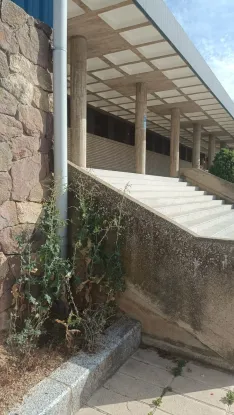 Foto 3 - Denuncian el deterioro de las zonas verdes en el centro de &Oacute;lvega