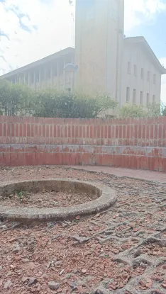 Foto 7 - Denuncian el deterioro de las zonas verdes en el centro de &Oacute;lvega