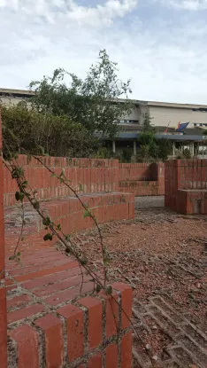 Foto 10 - Denuncian el deterioro de las zonas verdes en el centro de &Oacute;lvega