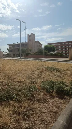 Foto 11 - Denuncian el deterioro de las zonas verdes en el centro de &Oacute;lvega