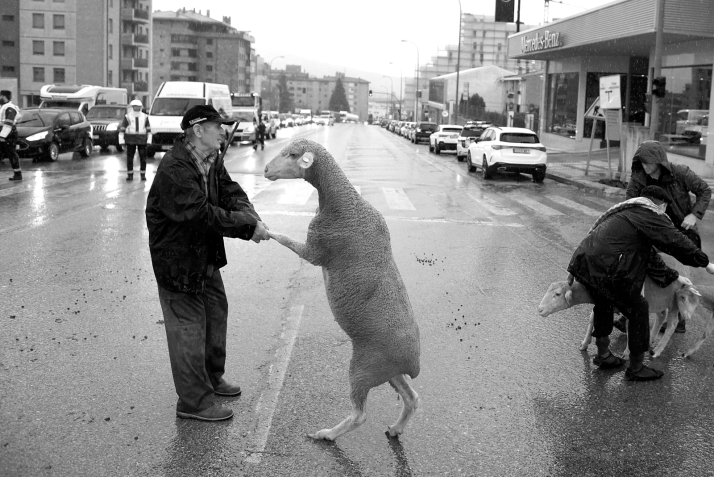 Quince años de fotografía para despedir una tradición milenaria en Soria
