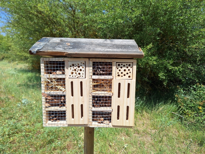 Almazán estrena hoteles de insectos para combatir las plagas