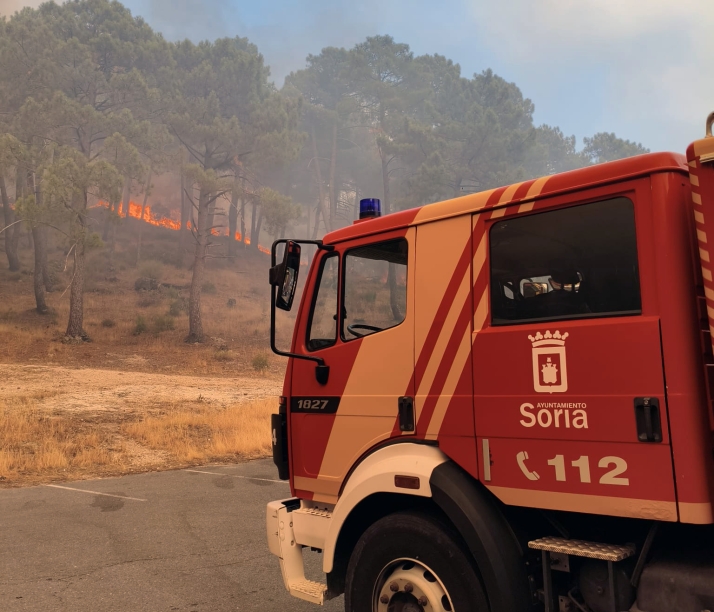 Los bomberos de Soria detectan y frenan un fuego junto al cementerio de Piedralaves (Ávila)