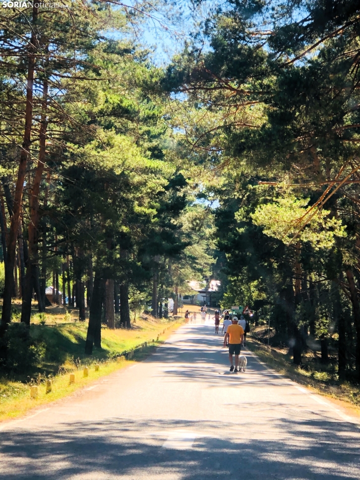 Tres personas fallecen por exceso de calor en el último mes en Soria