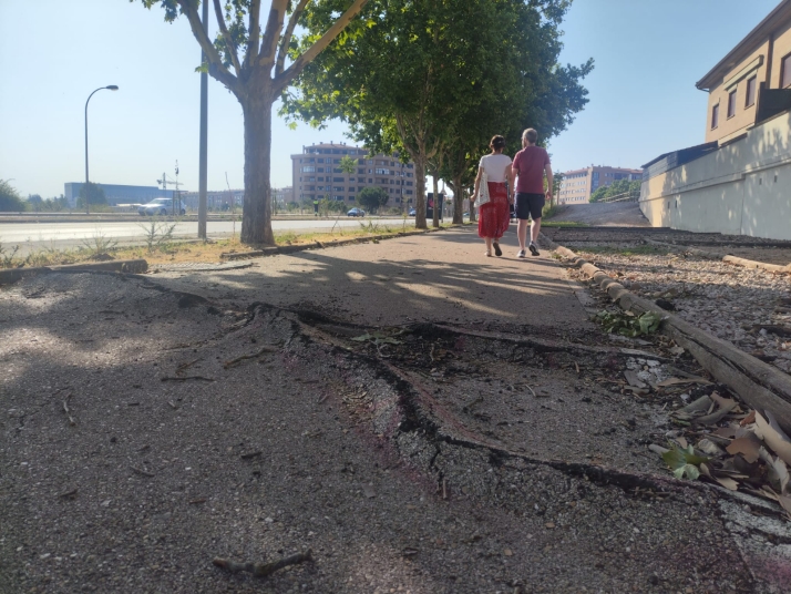 Un ciclista alerta del riesgo de accidente por el grave deterioro del carril bici en el polígono