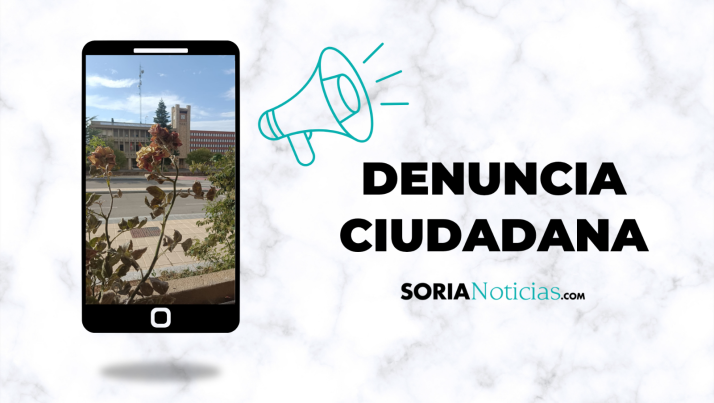 Denuncian el deterioro de las zonas verdes en el centro de Ólvega