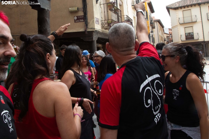 Día de las Peñas de San Esteban 2026