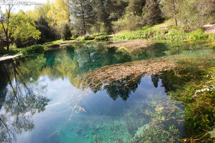 Soria roza los 35 grados en un martes de cielos despejados y elevado índice ultravioleta
