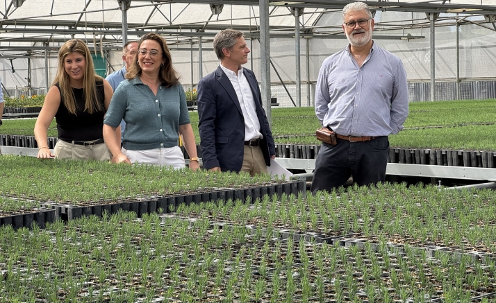 La Junta destina 2,5 millones de euros a impulsar plantaciones forestales de alto valor en Castilla y León