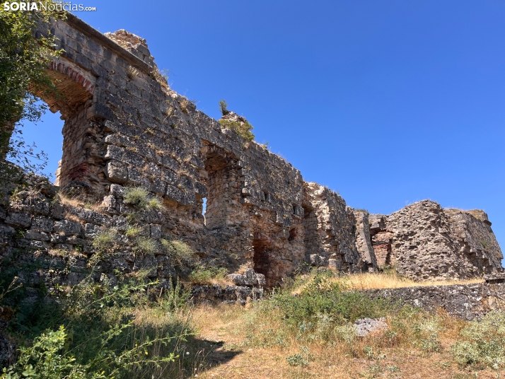 San Leonardo de Yagüe 2026