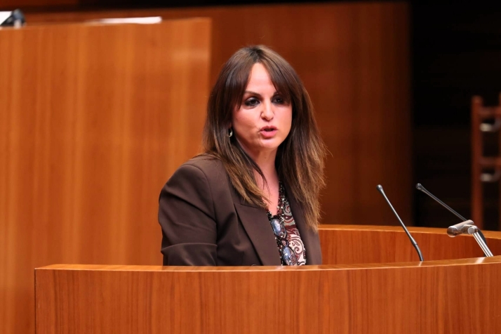 El PSOE afirma que el Procurador del Común contradice el relato de la Junta