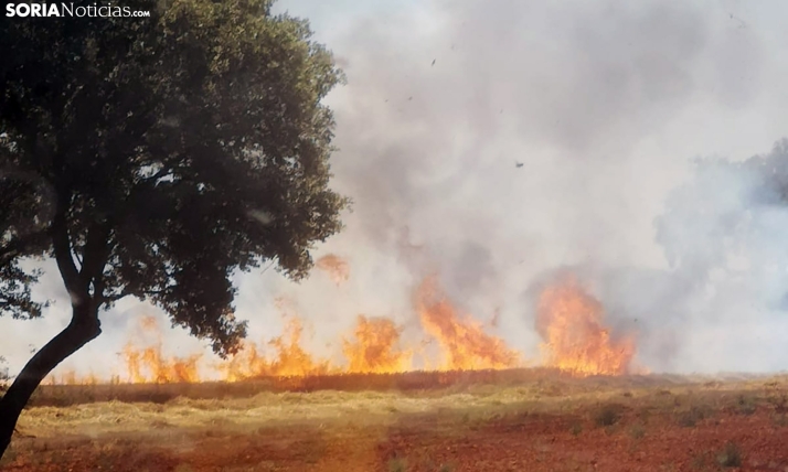 Alerta por riesgo de incendios en la provincia hasta el viernes